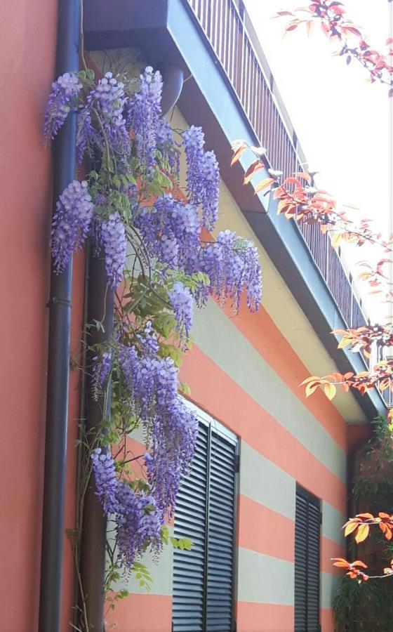 Residenza XX Settembre Apartment Maslianico Exterior foto