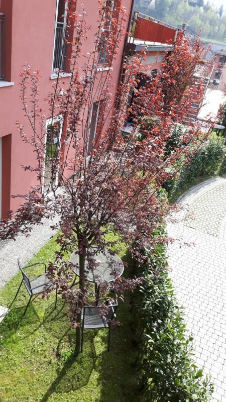 Residenza XX Settembre Apartment Maslianico Exterior foto
